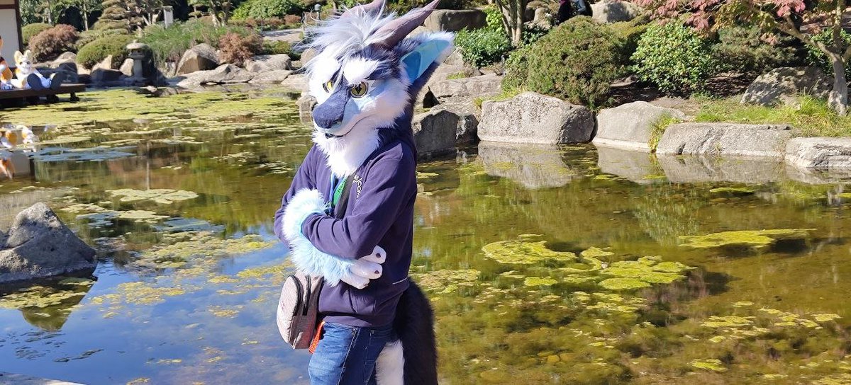 Acurion🇩🇪 tweet media