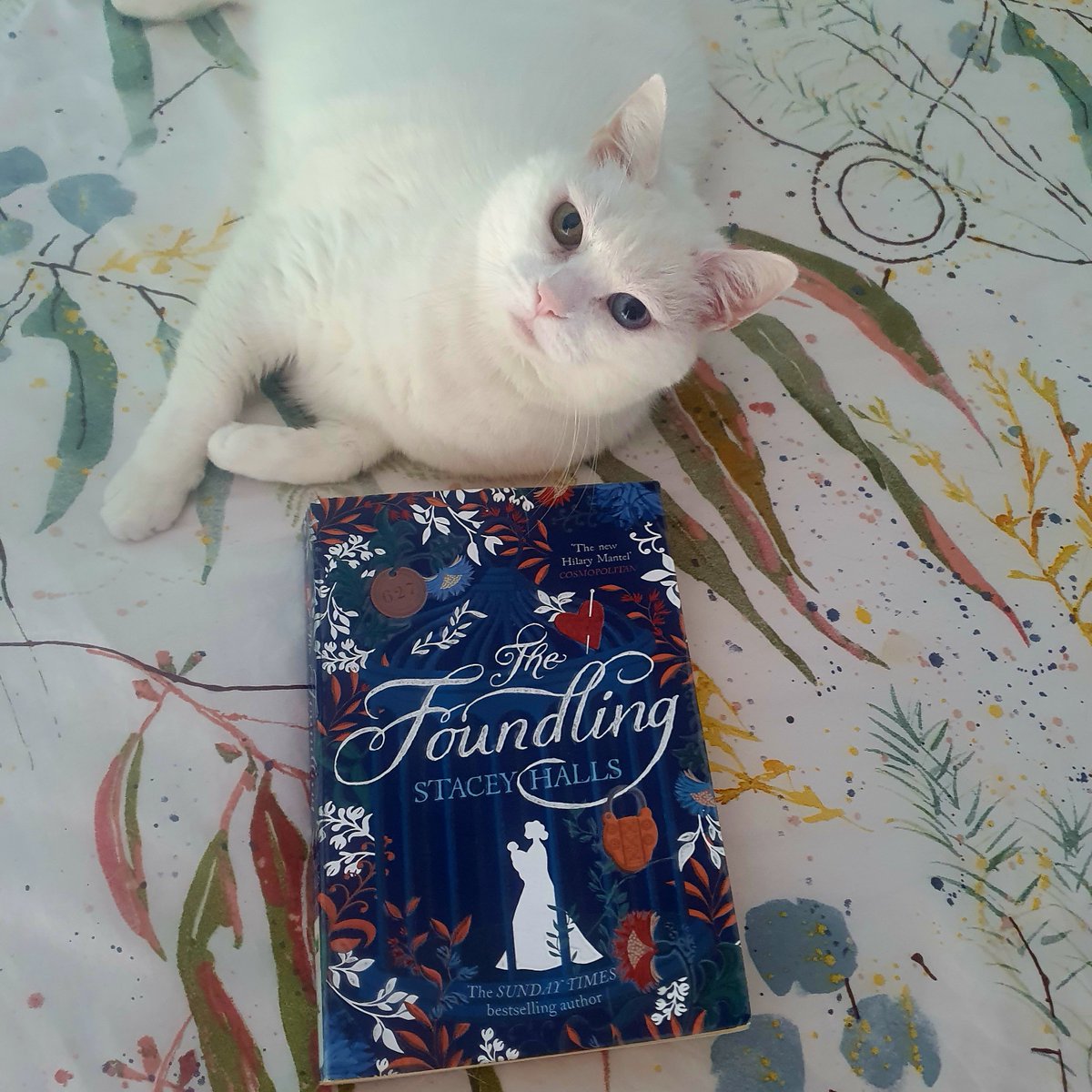 Jade St Clair tweet media