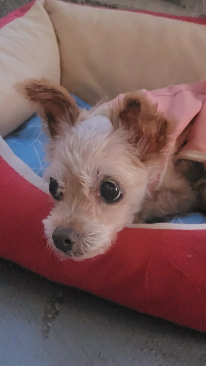 nsu04009's tweet photo. 베란다에서 바람을 만끽하며.. https://t.co/PkwBDLhLKL