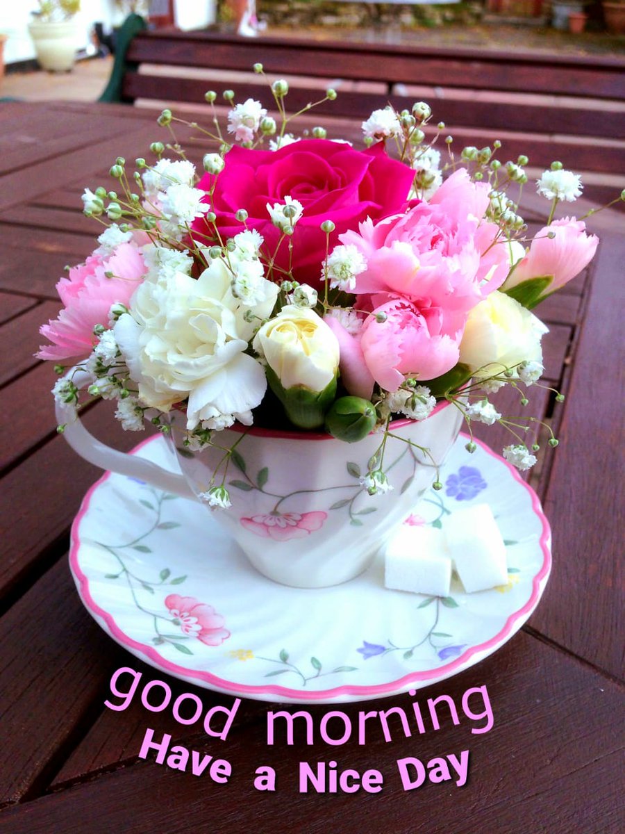 Saleem89205342's tweet photo. @chadru42991 https://t.co/S3K0ph9X88
