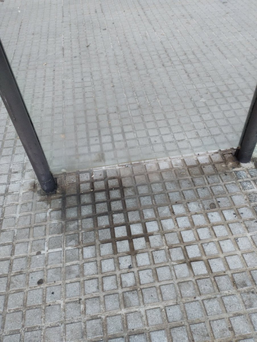 InmaFopiani1's tweet photo. @CadizAbandonada Mucha suciedad en parada 1306 en sotillo https://t.co/aD5SMdQnbd