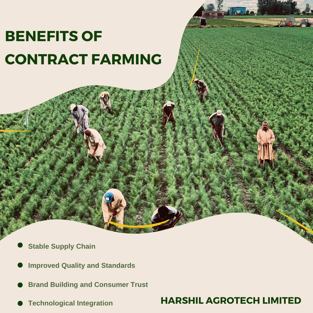 pparshaantt's tweet photo. Let's we all welcome the ideas they shown and make us feel more safe and trusted by them so we must think and grab what the said.
#HarshilAgroFutureFocus https://t.co/gvnFo3XOP5