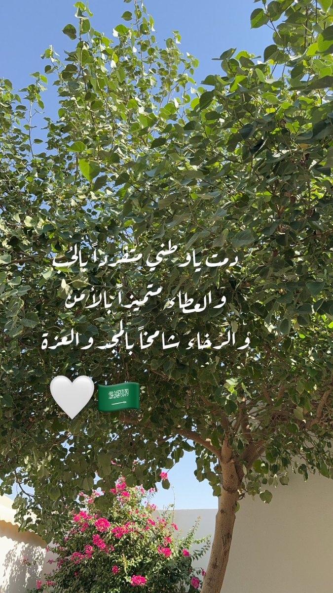 white1lines's tweet photo. #اليوم_الوطني_السعودي_94 https://t.co/ngxEV29d2d