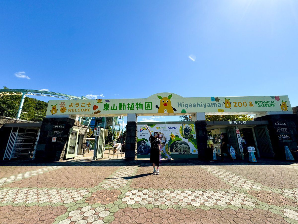 LiSA_OLiVE's tweet photo. 久しぶりに東山動物園へ行きました🐨☀️
名古屋ありがとう☻楽しかったっ🥂
また会いにくるねっ🐈‍⬛
#LiSAカクテルパーティー　次の場所、横浜へ行ってきます🧡🍸🍸🩵⛅️ https://t.co/cG1913SCmv