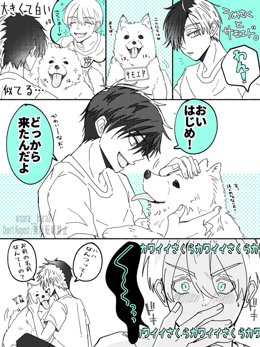 うめさく🍅🌸 🍅「見ちゃった」