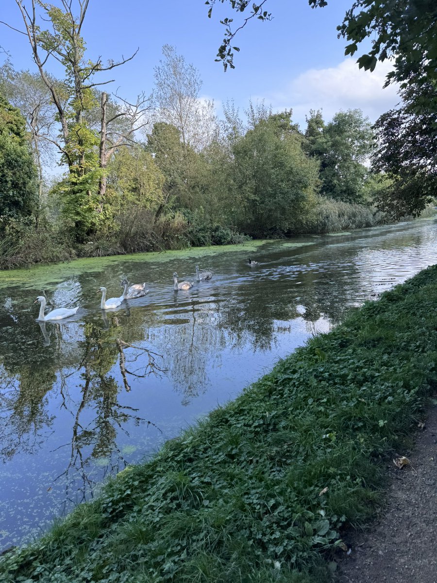 weekendcoke's tweet image. 75 hard has acted as a circuit breaker to stop drinking and using cocaine.  I understand the REAL hard work starts when this programme has finished tomorrow.  I’m ready.

Day 74 of #75Hard ✅ 

So close!

10 mile run followed by a yoga session.

#RecoveryPosse