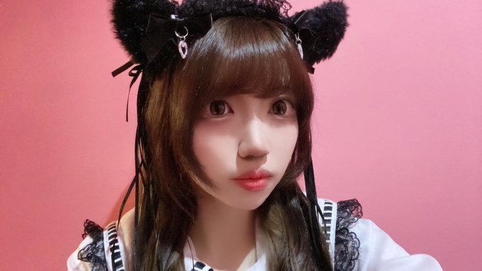 みけねこカフェ秋葉原店のツイート