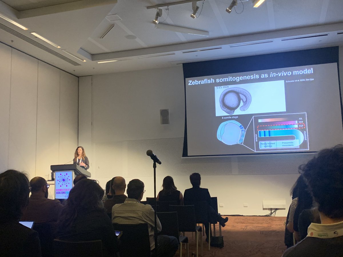 @cellphylab.bsky.social tweet media