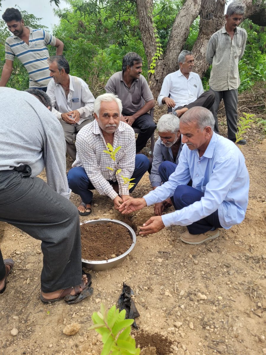 રાણાવાવ તાલુકાના ગામોમાં એક પેડ મા કે નામ અંતર્ગત વૃક્ષારોપણ કરવામાં આવ્યું.
