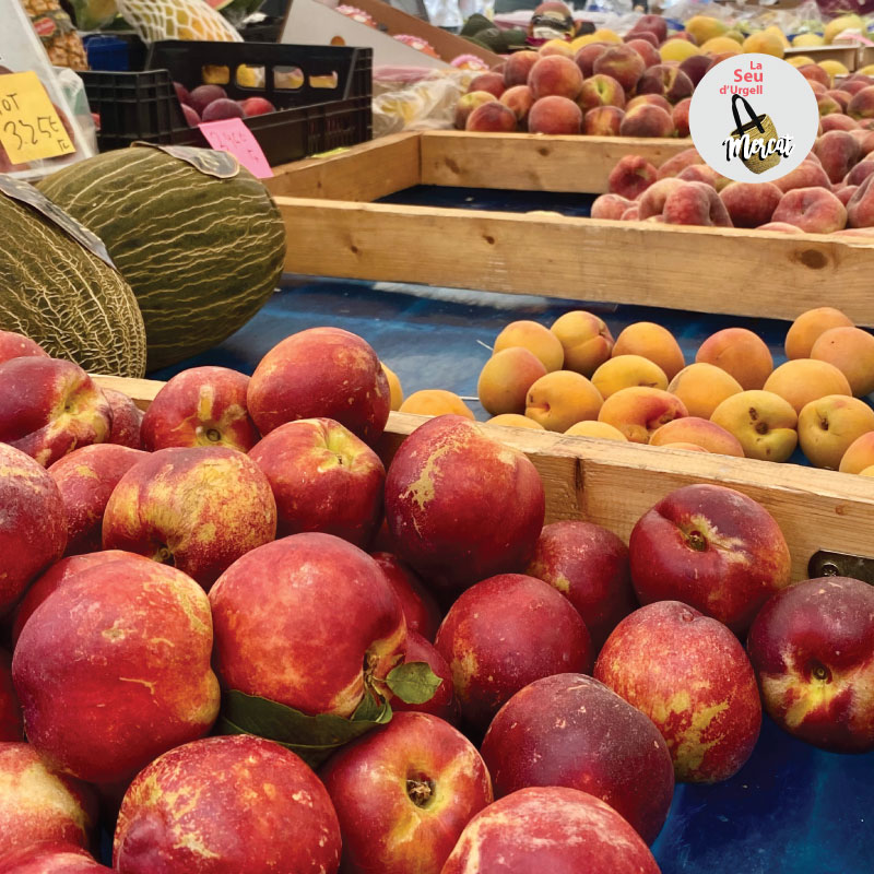 Saps quines són les fruites que es troben en plena temporada al setembre? 🗓️ T'ho expliquem!
🍌 El plàtan
👉🏼 La magrana
🍇 El raïm
👉🏼 El codony
👉🏼 La figa 
🍈 El meló
🍎 La poma
🍐 La pera
🍑 El préssec
🍑 La nectarina

Les trobaràs totes al #mercat!