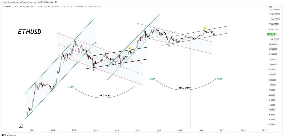 Cryptollica⚡️ tweet media