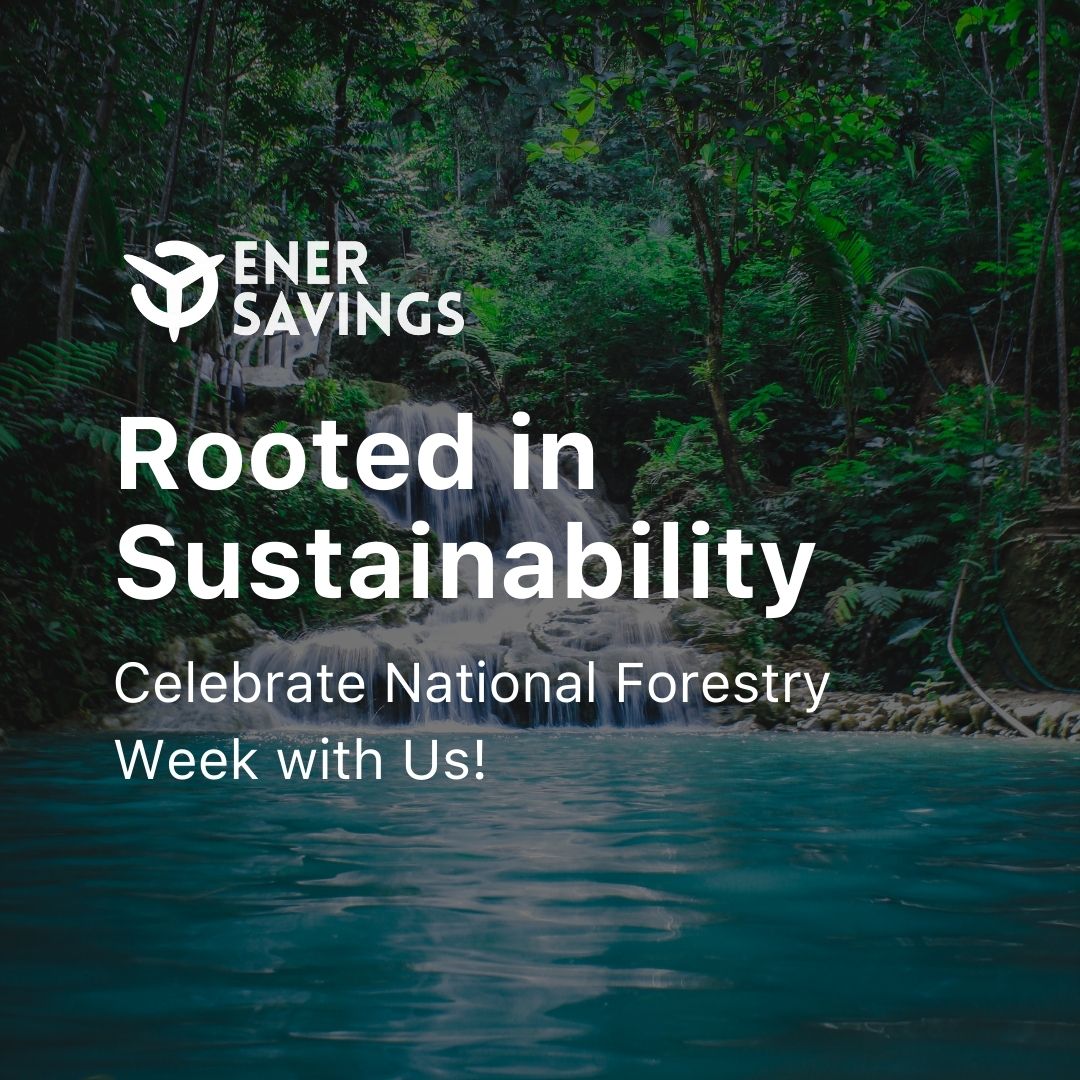 EnerSavingsInc's tweet image. Embracing the beauty and vitality of our forests—celebrate National Forestry Week by reconnecting with nature and protecting our green treasures.

#ForestryWeek #NatureConservation #EnerSavings