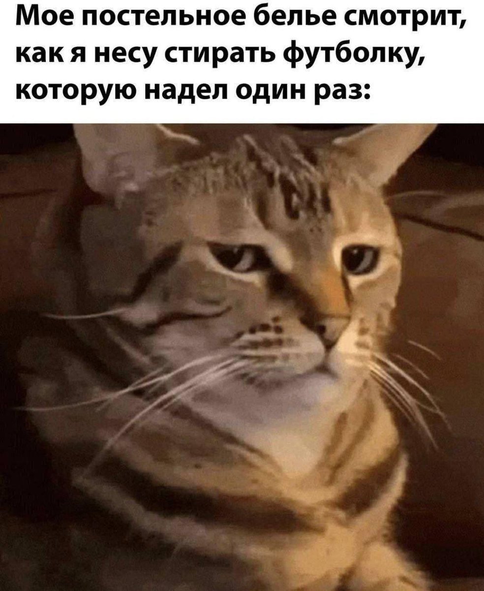 Лепра (@leprasorium) on Twitter photo 