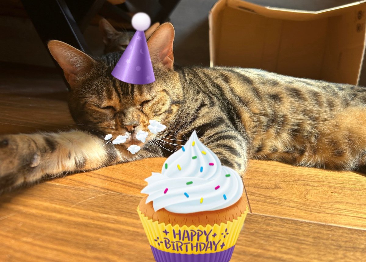 bornfreeonekiss's tweet photo. NENE HBD🎉7th birthday https://t.co/Gth2Dmg2e9