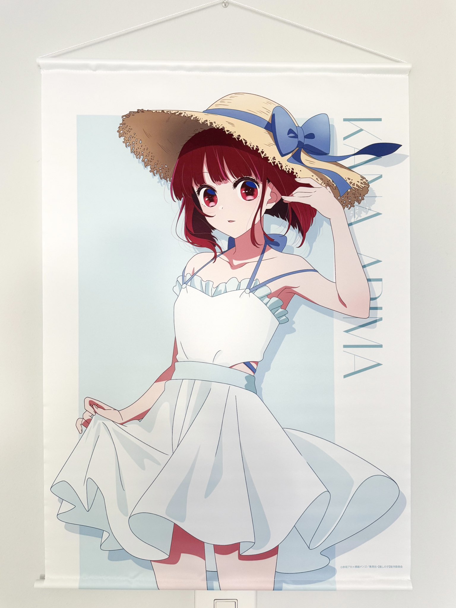 姫裸（ヒメラ） (創美研究所)アニメキャラクターポスター megamimagazine - Search / X
