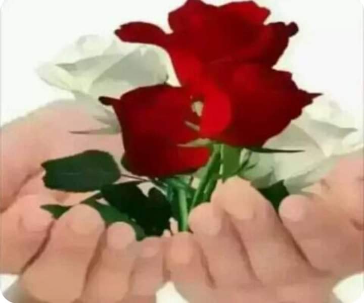 EnginSuvar8's tweet photo. @Monika65157353 Good morning.
Nice https://t.co/cFrGd38k7S