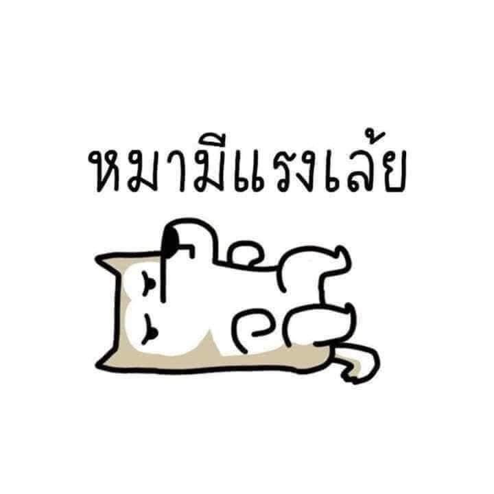 POJ169119's tweet photo. อยากนวดขา เมื่อยมาก >< https://t.co/3MAP0vOmKG