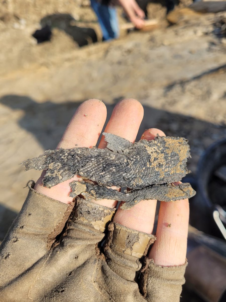 RhinopolisAssos's tweet photo. Ouverture de la campagne #Permien 2024 ! ⛏️
Le dégagement de la surface de fouille a déjà permis de retrouver nos premiers seymouriamorphes 🦎 et aeduellides 🐟 https://t.co/o22NeSrozb