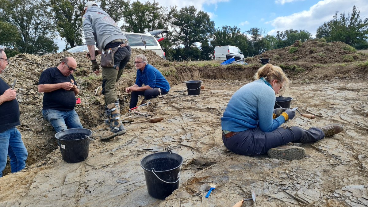RhinopolisAssos's tweet photo. Ouverture de la campagne #Permien 2024 ! ⛏️
Le dégagement de la surface de fouille a déjà permis de retrouver nos premiers seymouriamorphes 🦎 et aeduellides 🐟 https://t.co/o22NeSrozb