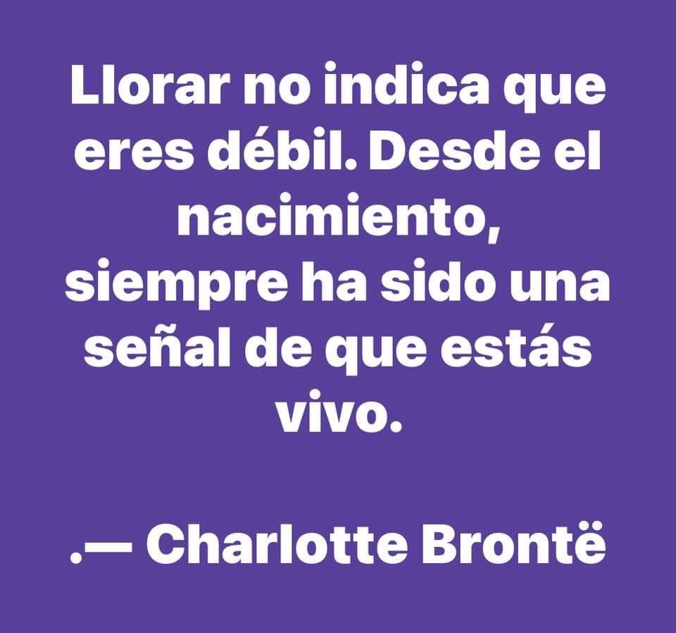 Multiforo Alici@ (@multiforoalicio) on Twitter photo 