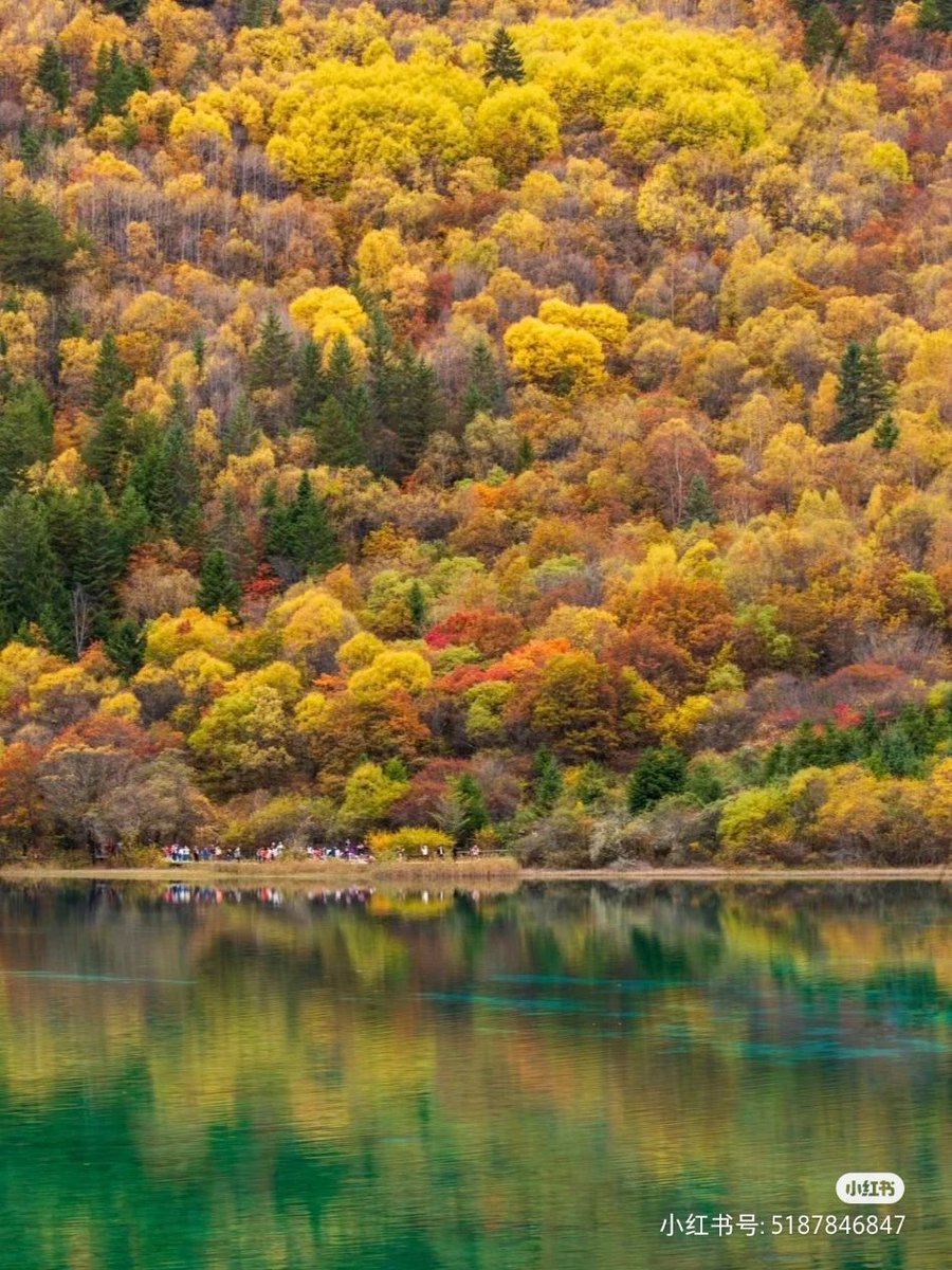 九寨沟至美秋景