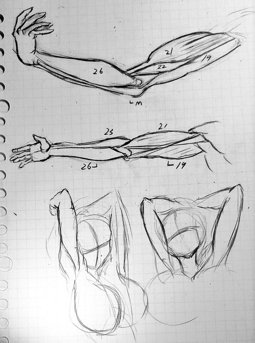 仕事おわ帰宅
疲れた…… 