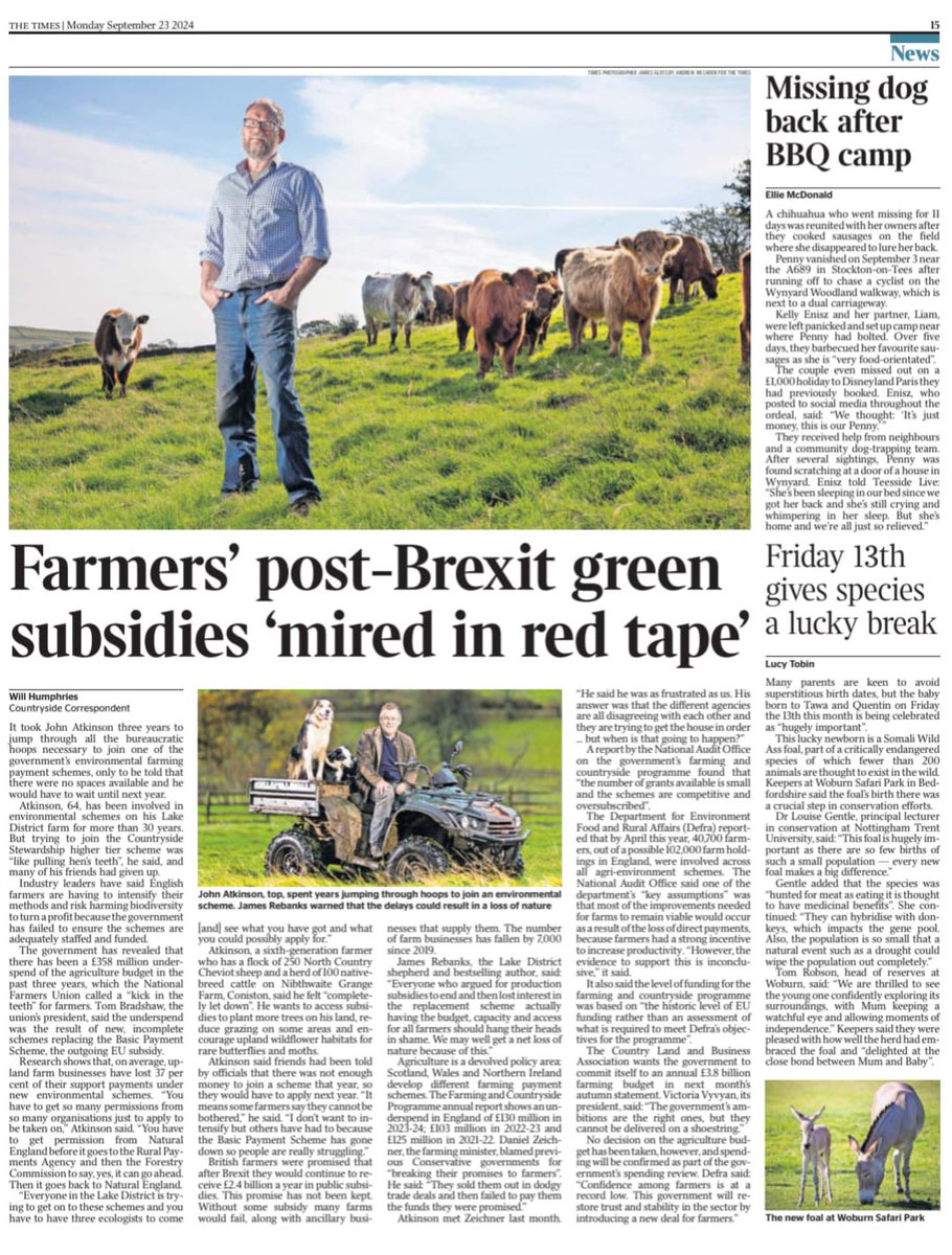 dodgsonwood's tweet photo. Myself and @herdyshepherd1 feature in @thetimes today talking about the ridiculous underspending on agriculture and conservation by the last government and the continuing frustration of farmers who want to do more for nature @RBSTrarebreeds @NFFNUK https://t.co/0aH79DZPX5