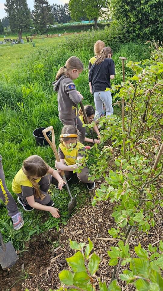 Roots for the Future CIC tweet media