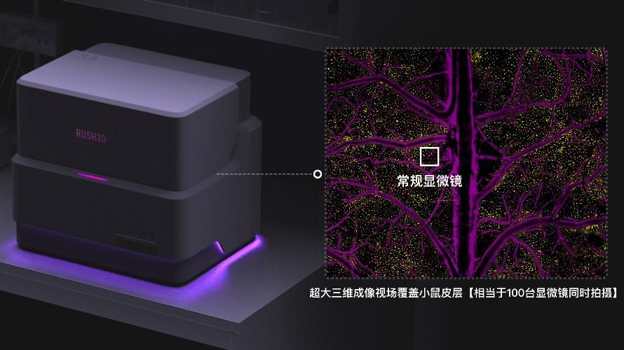 Scientists have introduced an advanced intravital microscope that captures detailed 3D #cellinteractions in mammals, set to transform research in oncology, immunology, and neuroscience with a clear, single-cell view of organ function. #InnovativeTsinghua bit.ly/3XxD3XG