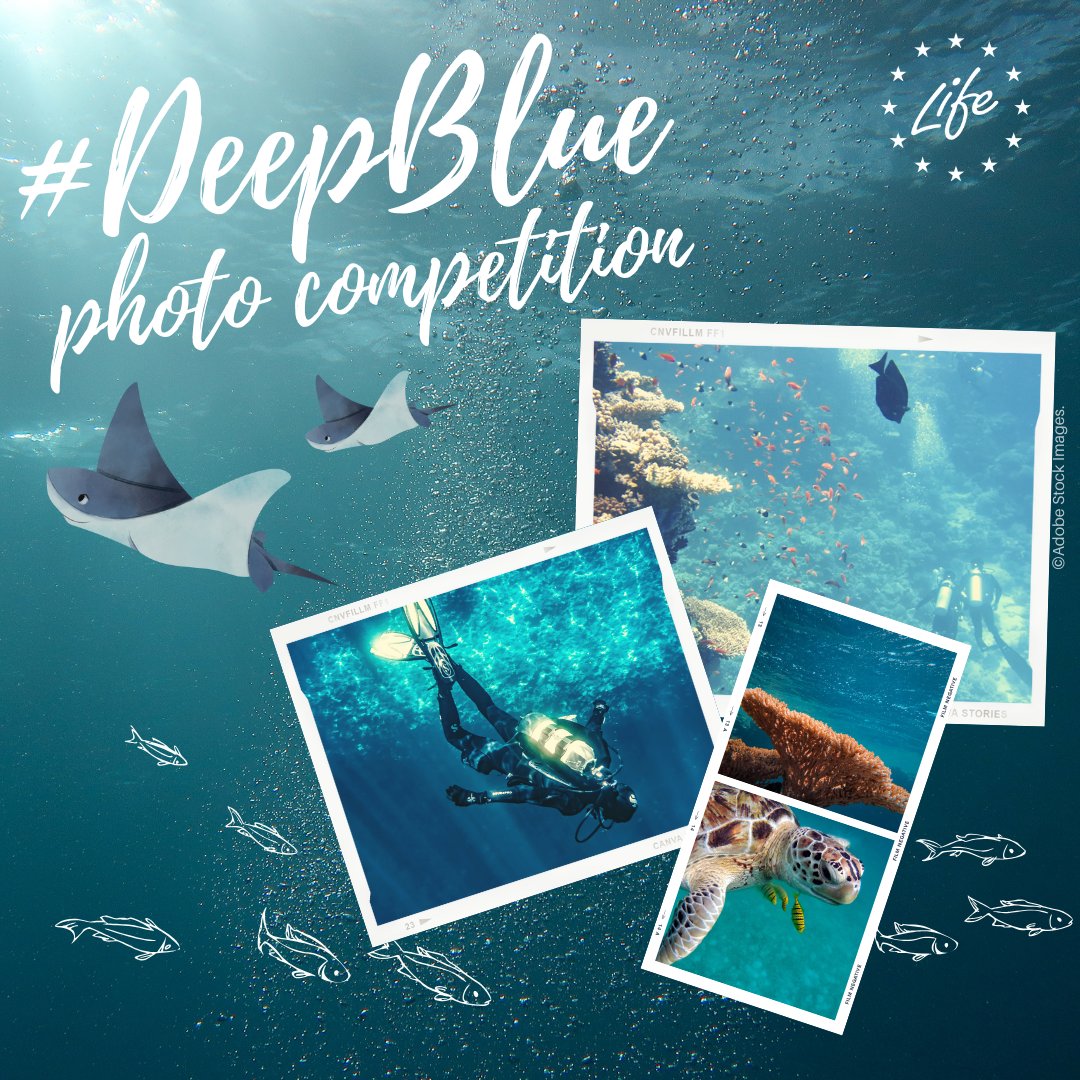 LIFEprogramme's tweet image. Dive into the beauty of LIFE &amp;amp; the #DeepBlue🌊

Join the #LIFEProject #LifeSeaNet photo contest &amp;amp; snap a pic 📸 for a chance to win prizes! Show off your best shots of #Natura2000 sites, marine life, habitats &amp;amp; more.

📅Deadline: 30 September

👉bit.ly/47CxmMQ
