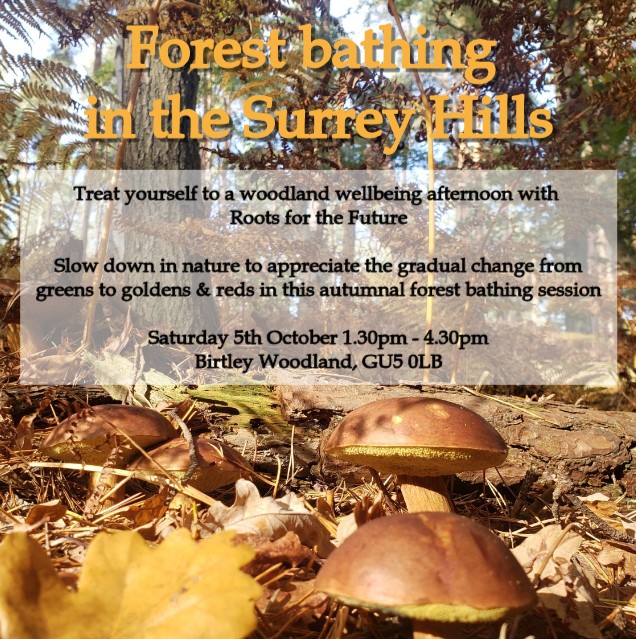 Roots for the Future CIC tweet media