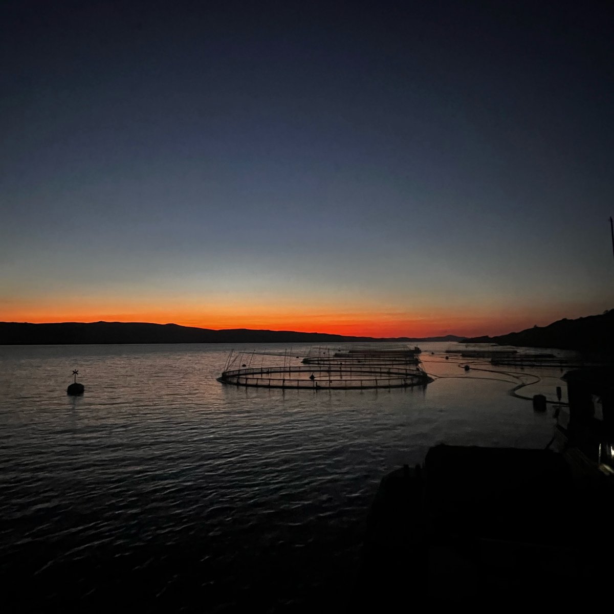 scotseafarms's tweet photo. AUTUMN | With autumn officially upon us, a gentle reminder of the beauty to be found in the changing of the seasons ๐ ๐ ๐
๐ท Last of the summer sunsets, Sound of Mull, by Hollie Rose Deckhand Ian MacDougall
#mull #isleofmull #soundofmull #autumnequinox #weatherwatchersuk https://t.co/DyaBLREGYt