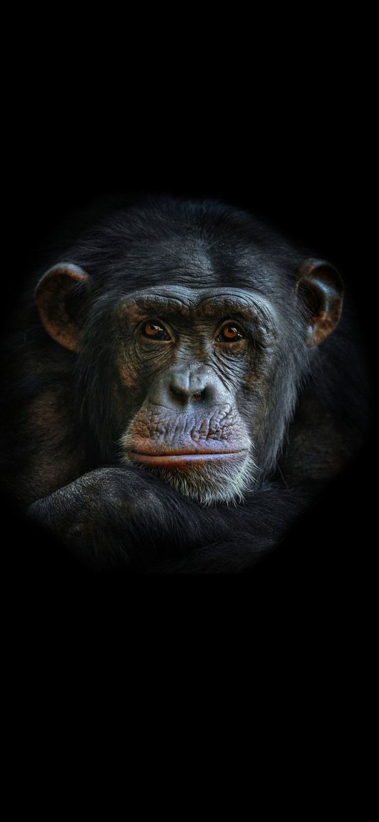 _Mosflow's tweet image. Dark...Black Wallpaper Thread .!🙃
        Let&apos;s Have it.!👌