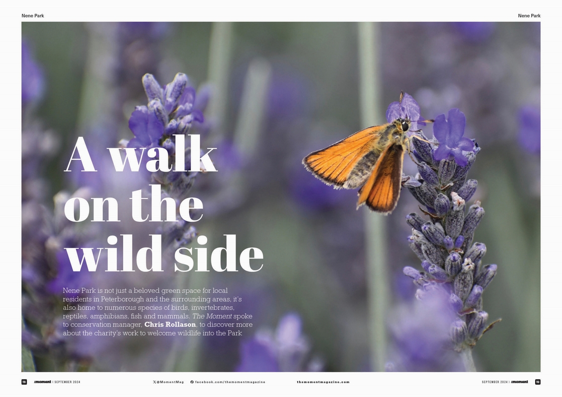A Walk On The Wild Side 
Nene Park is not just a beloved green space for local residents in #Peterborough and the surrounding areas, it’s also home to numerous species of birds, invertebrates, reptiles, amphibians, fish and mammals. We spoke to conservation manager, Chris