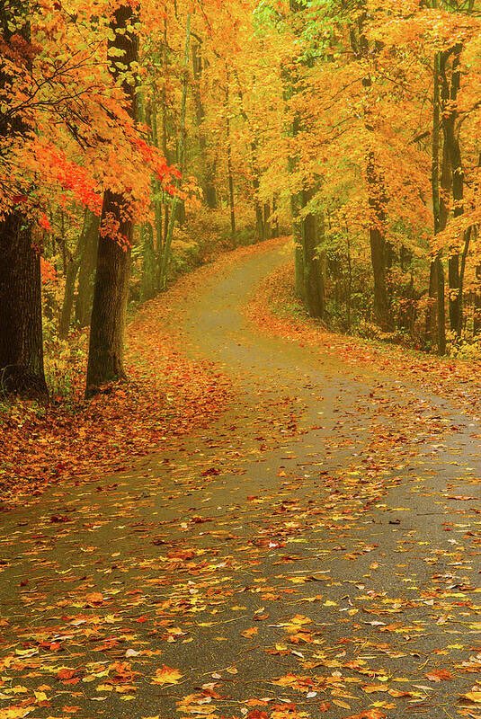 Yes!!!! Herfst!! Eindelijk ..
