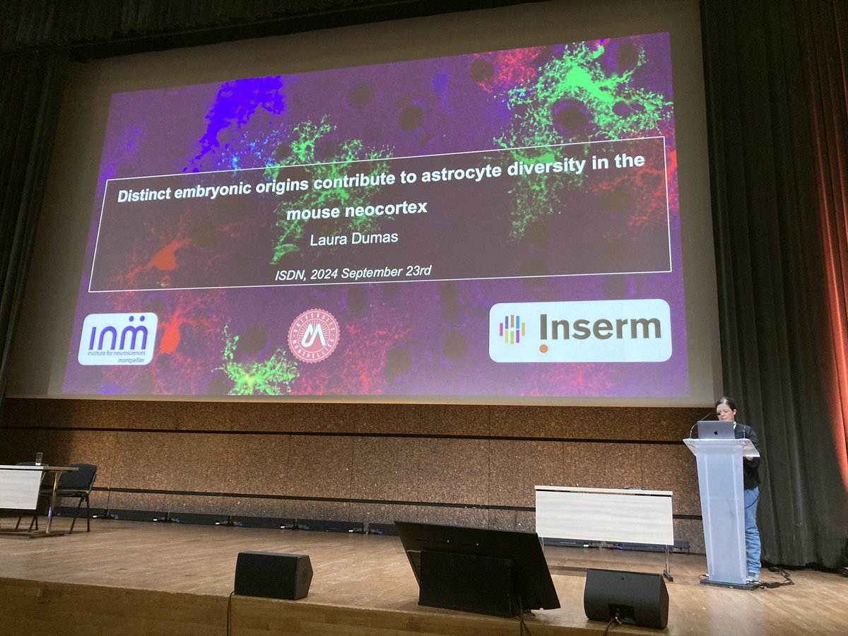 LoulierK's tweet image. Wonderful talk by @LauraGattaK 🎉 @ISDNConference #ISDN2024 #proudPI @CorticoG 🤗