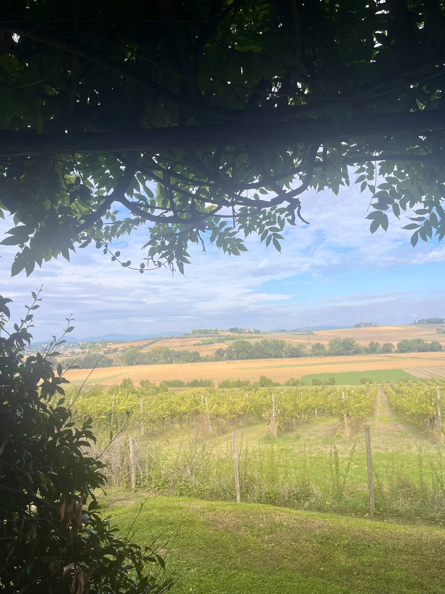 FakePlasticRuby's tweet image. Zie weer een heleboel mensen die niet het concentratievermogen hebben om verder dan een titel te lezen en aangezien dat mij(n job) overbodig maakt ga ik dan hier blijven, ciaokes byekes.