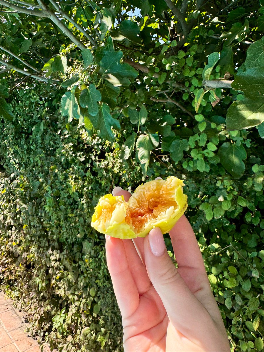 FakePlasticRuby's tweet image. Zie weer een heleboel mensen die niet het concentratievermogen hebben om verder dan een titel te lezen en aangezien dat mij(n job) overbodig maakt ga ik dan hier blijven, ciaokes byekes.