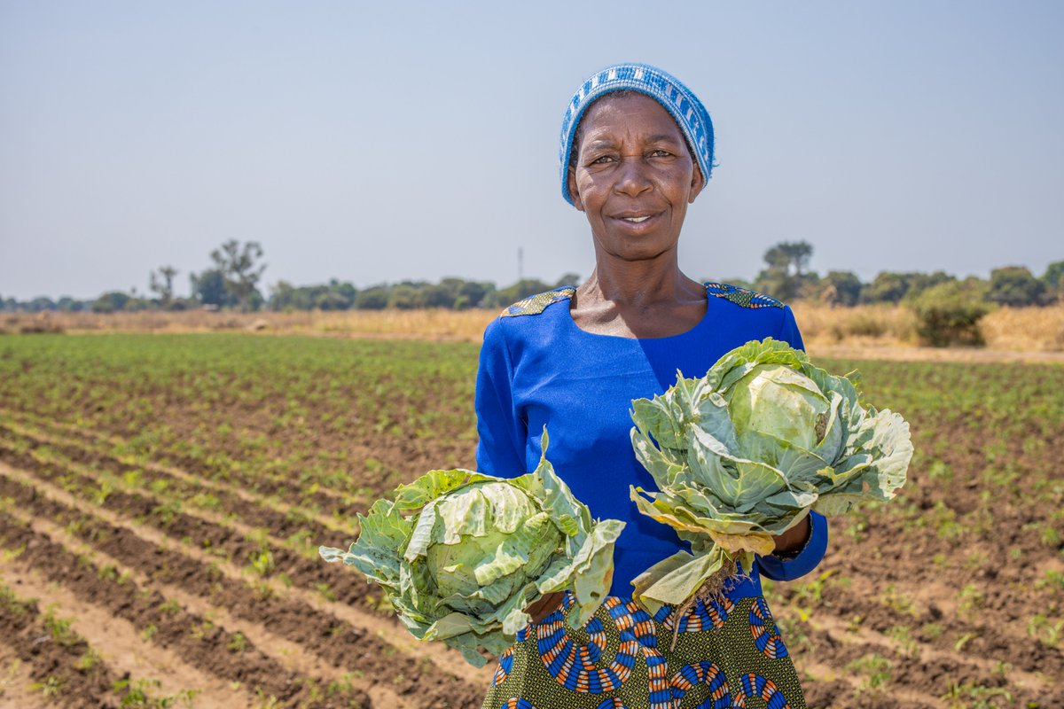 “Migrants face numerous challenges in accessing adequate and nutritious food, including limited access to mainstream food systems and reliance on alternative food sources.” The new #MPP issue explores the food systems of migrants in South Africa.

👉 bit.ly/3X1jGYf