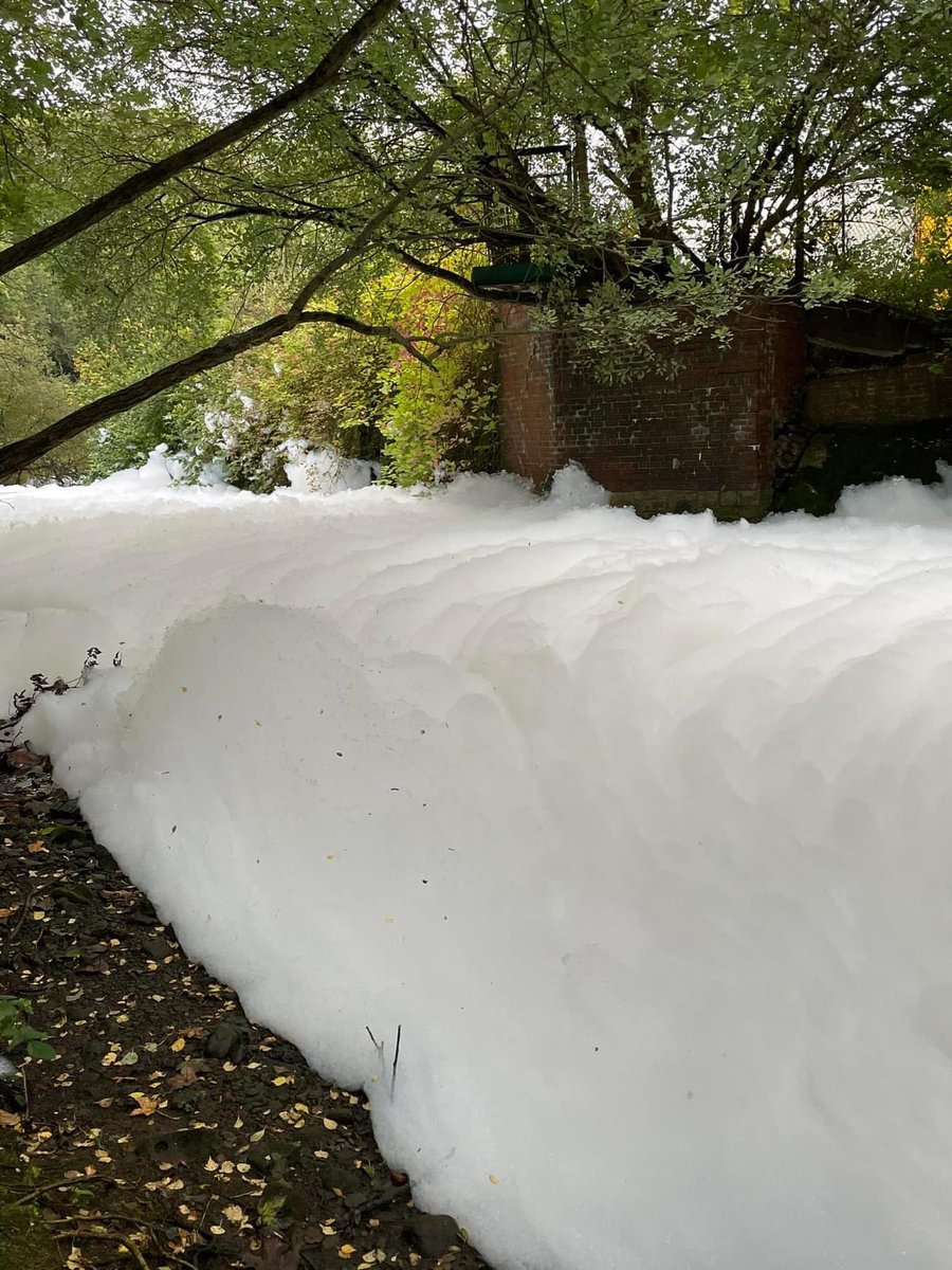 Prof Jamie Woodward tweet media