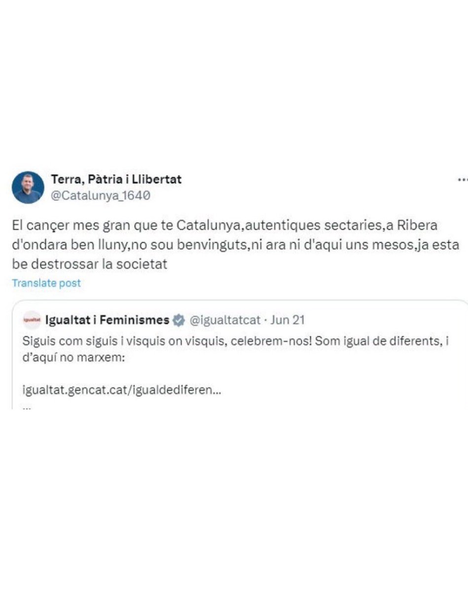 Alternativa per Ripoll tweet media
