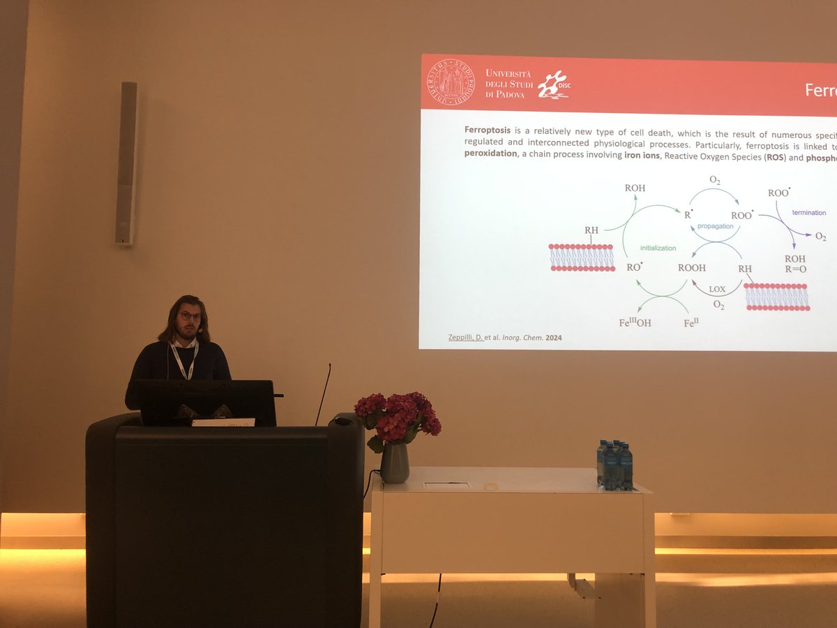 Davide Zeppilli of <a href="/UniPadova/">Università di Padova</a> presents a contributed talk <a href="/CBOND2024/">CBOND2024</a> YRS on the “Radical Scavenging and Anti-Ferroptotic Molecular Mechanism of Olanzapine: Insight from a Computational Analysis.” #CBOND2024