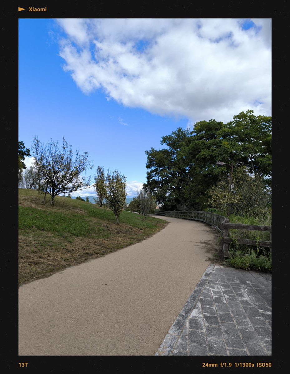 ys_4geo's tweet photo. 最近よく「太った」と言われるので…近所の公園をウォーキング🚶
少し涼しくなって歩きやすくなりました https://t.co/hKHKEbwd8Q