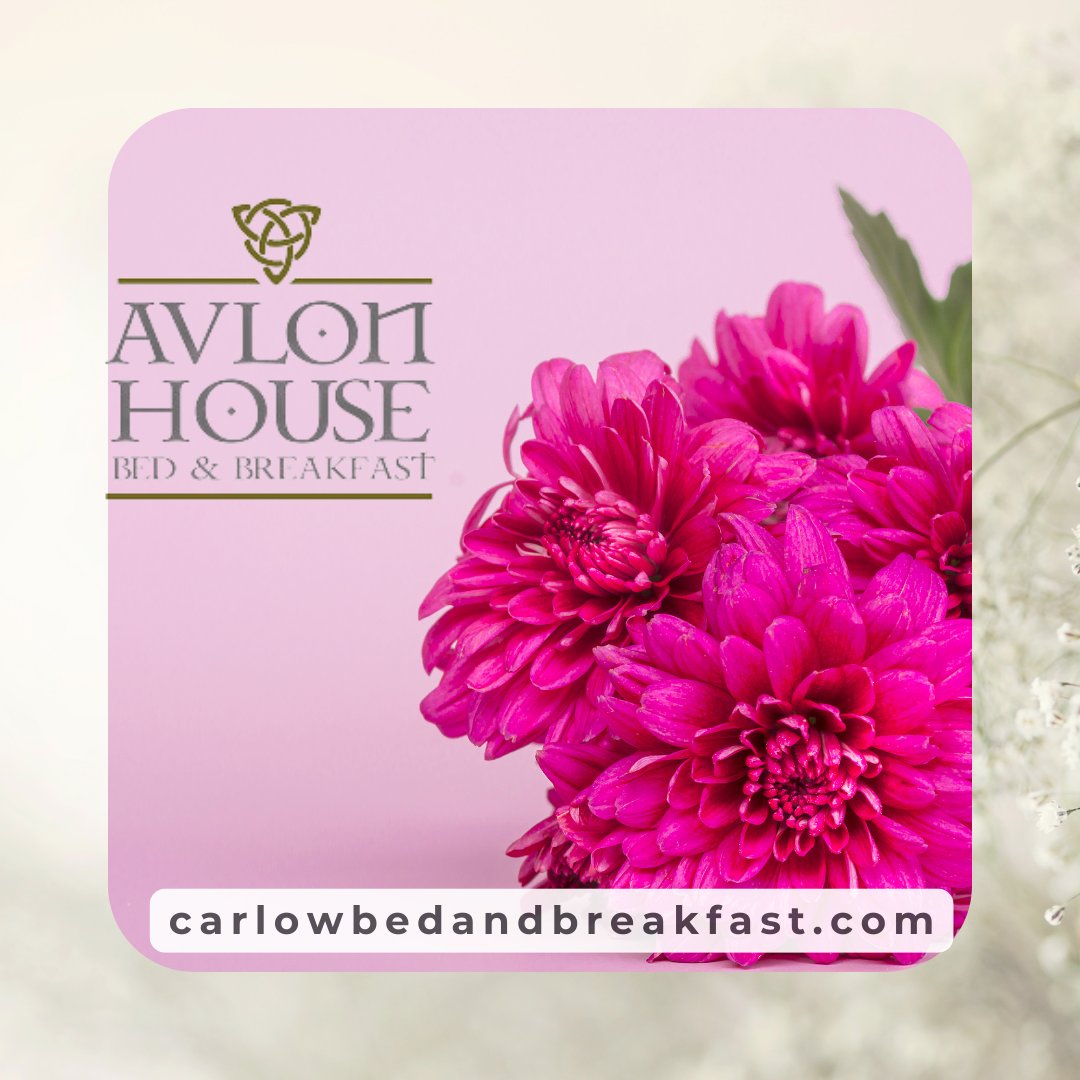 As #Carlow still basks in the glory of winning 3 awards at the recent Entente Florale Europe Competition, the ‘Rain Gardens’ won the President's Prize, lauded for its aesthetics and functionality. Come and visit us and see them first hand. #visitcarlow #autumnwalkscarlow