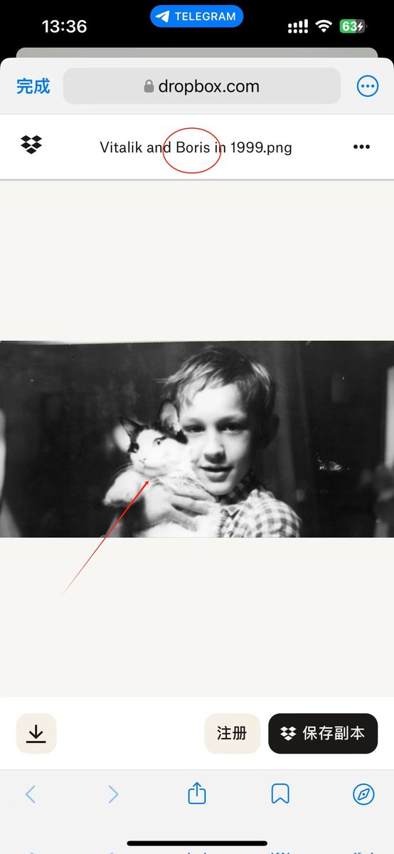 KidTim35608's tweet image. v神的猫是个不错的故事
$boris  nice story!
（无任何建议----DYOR）