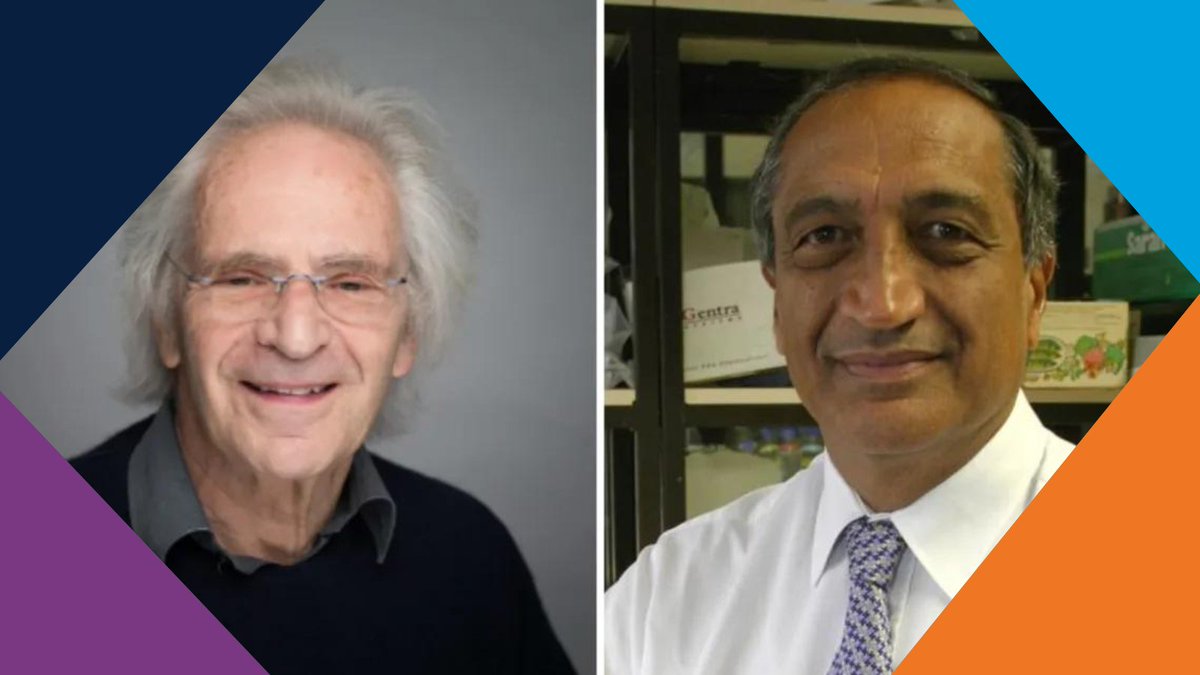 🎉 Congratulations to Prof Sir Ravinder Maini and Prof Sir Marc Feldmann who have jointly received the Royal Society’s Royal Medal! The award recognises their invention of anti-TNF therapy to treat rheumatoid arthritis. ndorms.ox.ac.uk/news/kennedy-s…