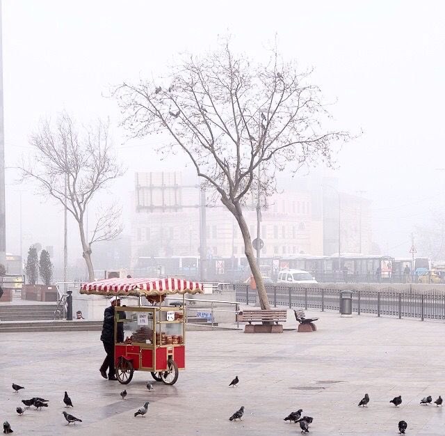 Wannawave (@wannawave) on Twitter photo 