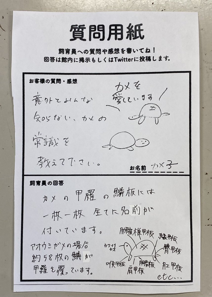 umigame_kouen's tweet photo. 質問コーナー https://t.co/m2NLCeBUrY