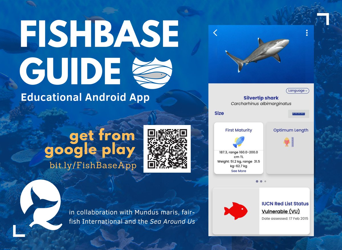 FishBaseProject's tweet image. 📱 Explore the #FishBaseGuide #mobileapp for Android—an essential sustainability tool for all fish enthusiasts! Dive into species insights that promote sustainable management of our precious marine and freshwater fishes. 🌊 Download now on Google Play: bit.ly/FishBaseApp. 🐟