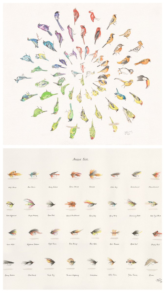 JRFArmstrong's tweet photo. A ‘fresh run’ of #SalmonFlies has arrived and the *new Limited Edition of #Birds has just landed &amp; a batch being sent out to day!
Please share &amp; DM if interested! 
#flyfishing #salmon #colourfulbirds #ornithology #art #fineart #penandink #watercolour https://t.co/hkxMFdloHn
